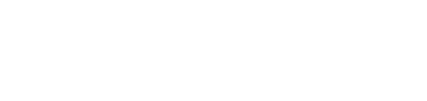 Burrus IP Law Group